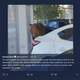 Image for article titled Cow Casually Strolls Into Mazda Dealership, Beats Up Cars